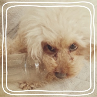 ���т����M�����O��