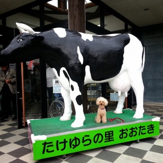 �命�쓹�̉w��