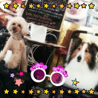 �y�����P���ł���(���́�)