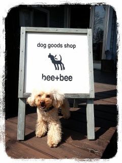 bee+bee��