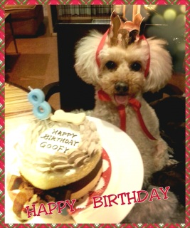 GOO�����HAPPYBIRTHDAY��
