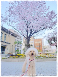 �g���~���O�D�D�D�`��