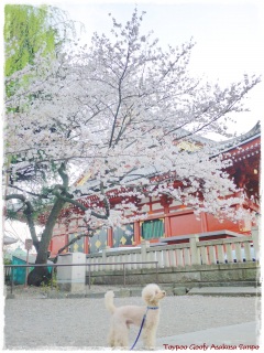 �v���o�̏ꏊ��